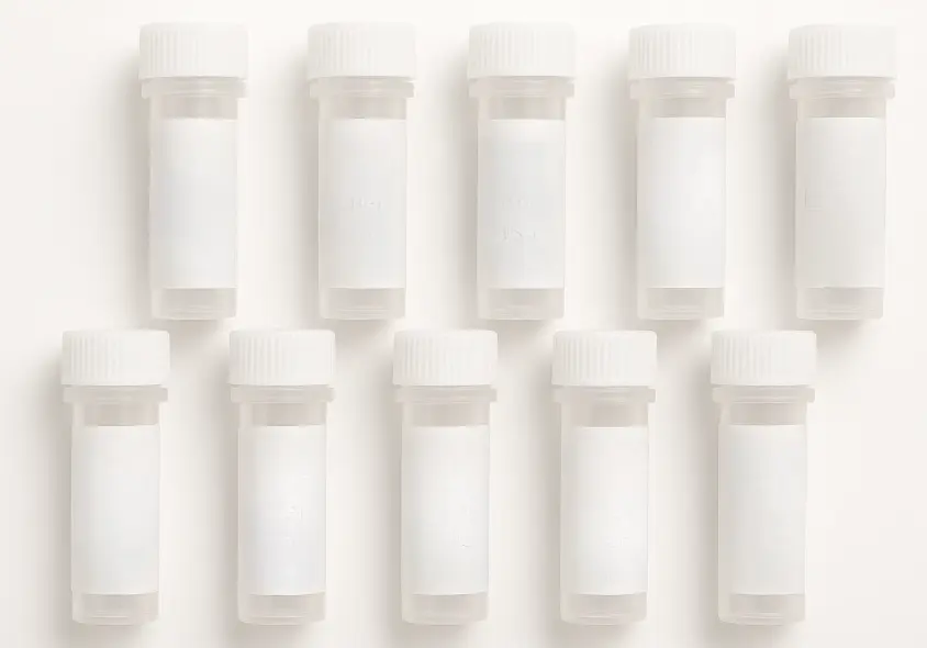 BRPF1 293T Cell Transient Overexpression Lysate(Denatured)