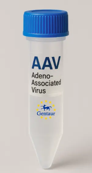 CIDEB AAV Vector (Mouse) (CMV)