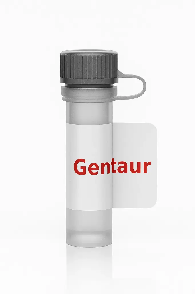 BMP3 Protein Rabbit Antibody (Polyclonal)